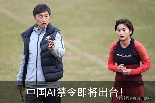 中国AI禁令即将出台！