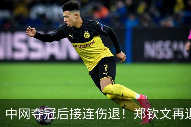 中网夺冠后接连伤退！郑钦文再退两站赛事，提前结束2026赛季