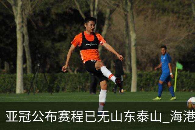 亚冠公布赛程已无山东泰山 海港若递补将赴泰国
