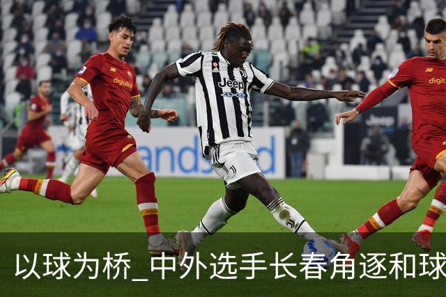 以球为桥 中外选手长春角逐和球赛事
