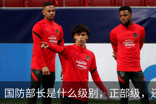 国防部长是什么级别，正部级，还是副国级？
