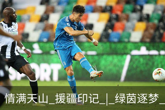 情满天山 援疆印记 | 绿茵逐梦 三冠加冕！巩留“蝶城少年”闪耀2026超级菁英杯武汉站