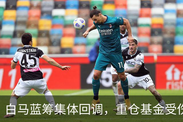 白马蓝筹集体回调，重仓基金受伤有多深？