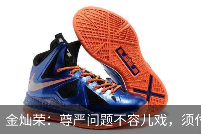 金灿荣：尊严问题不容儿戏，须付出应有的代价