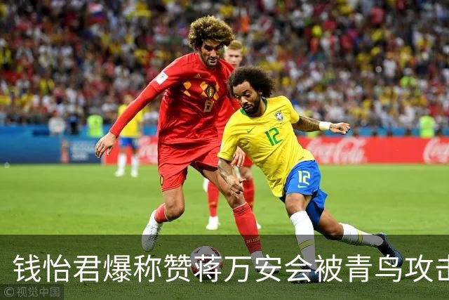 钱怡君爆称赞蒋万安会被青鸟攻击，沈富雄：一定要把沈伯洋从神坛拉下来