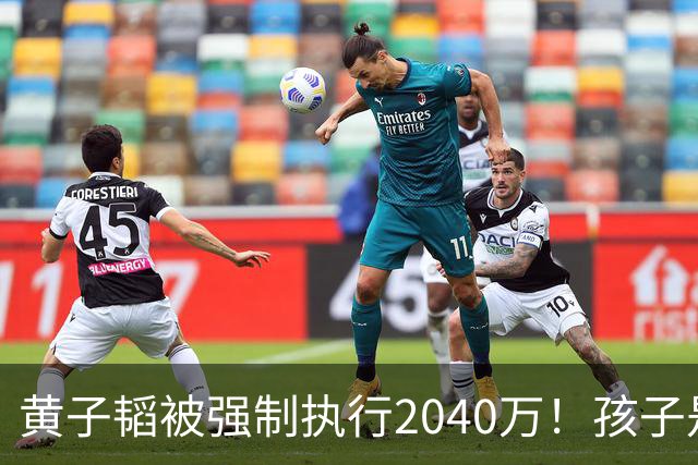 黄子韬被强制执行2040万！孩子是美国籍，已不是第一次出事
