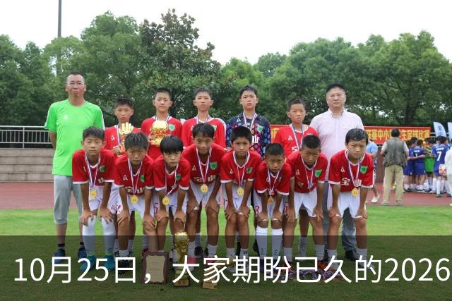 10月25日，大家期盼已久的2026退休养老金，究竟涨还是不涨？
